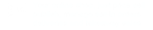 Your own online shop